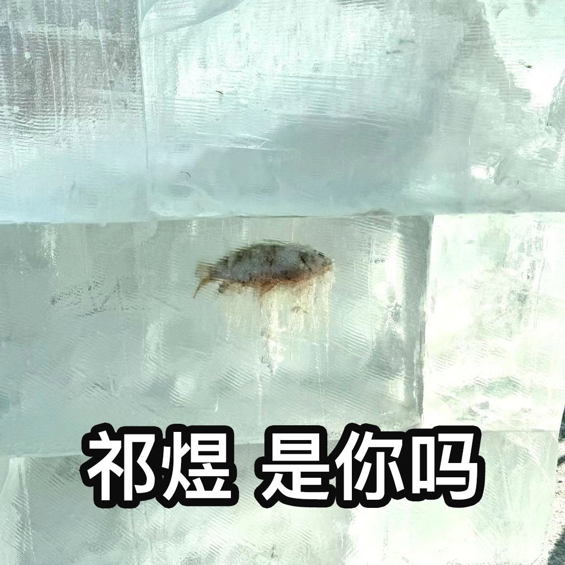 #恋与深空寻人启事# 三次元老公时不时消失也就算了！二次元老公怎么会失踪啊！#恋