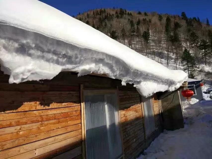 不做调查，就别瞎指挥——读《反对本本主义》有感
最近读了《毛选》第一卷第七篇《反