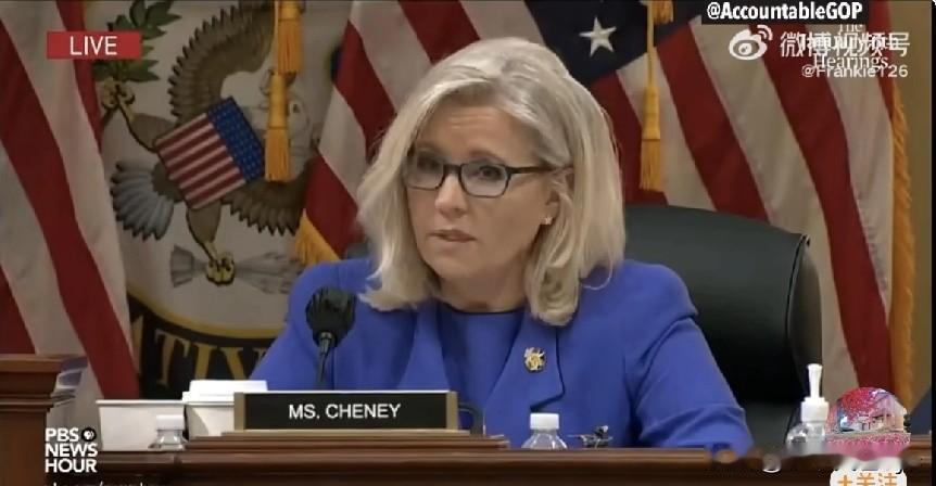 莉茲·切尼：「我要对那些为不可辩护护之事辩护的共和党同僚们说：总有一天特朗普会下