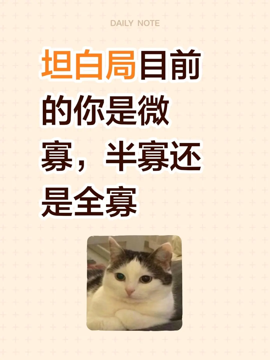 坦白局 目前的你是微寡，半寡还是全寡