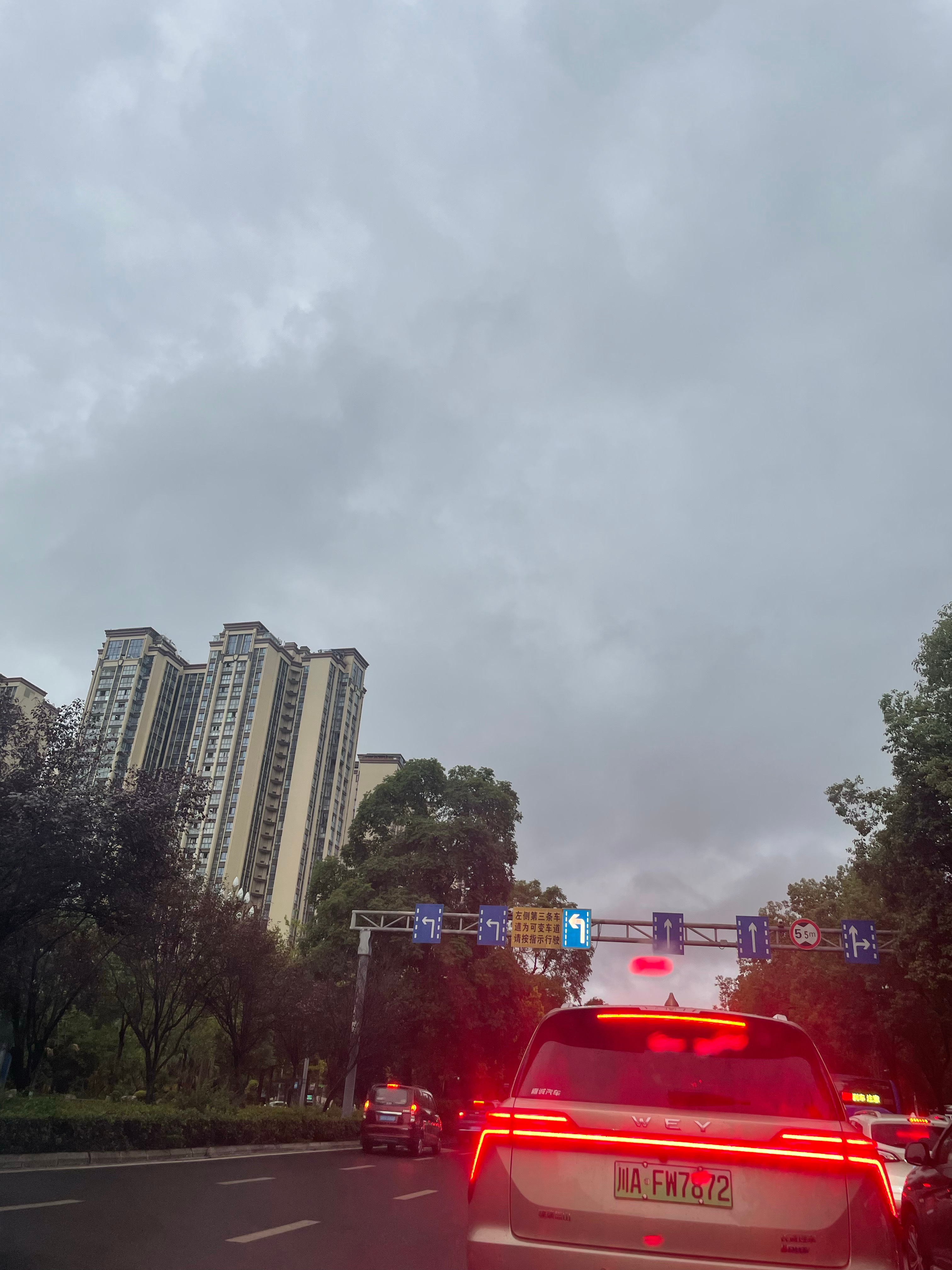 终于下雨了下吧下吧我要种花下久一些