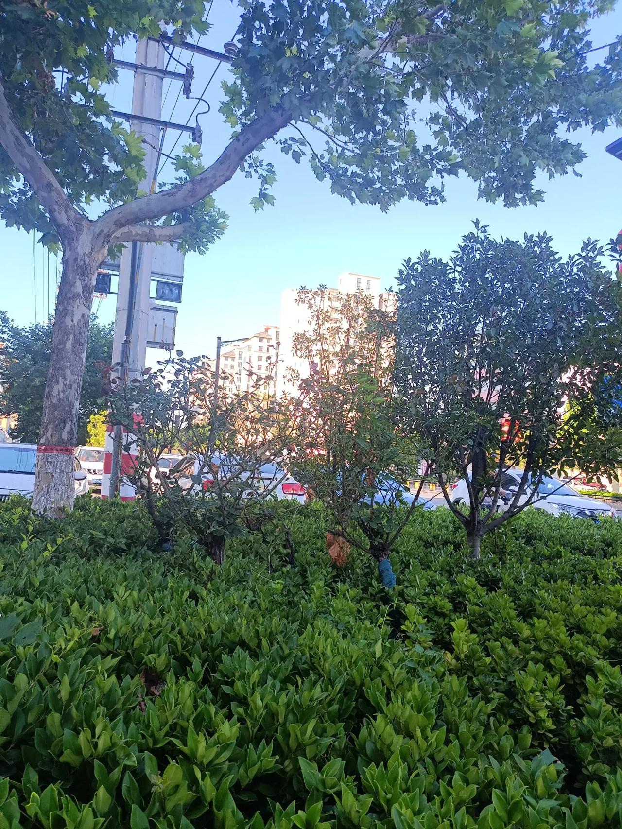 我们为了自己的舒服和乐享生活
用上了各种电器
也把路面硬化
城市和乡村都变好了