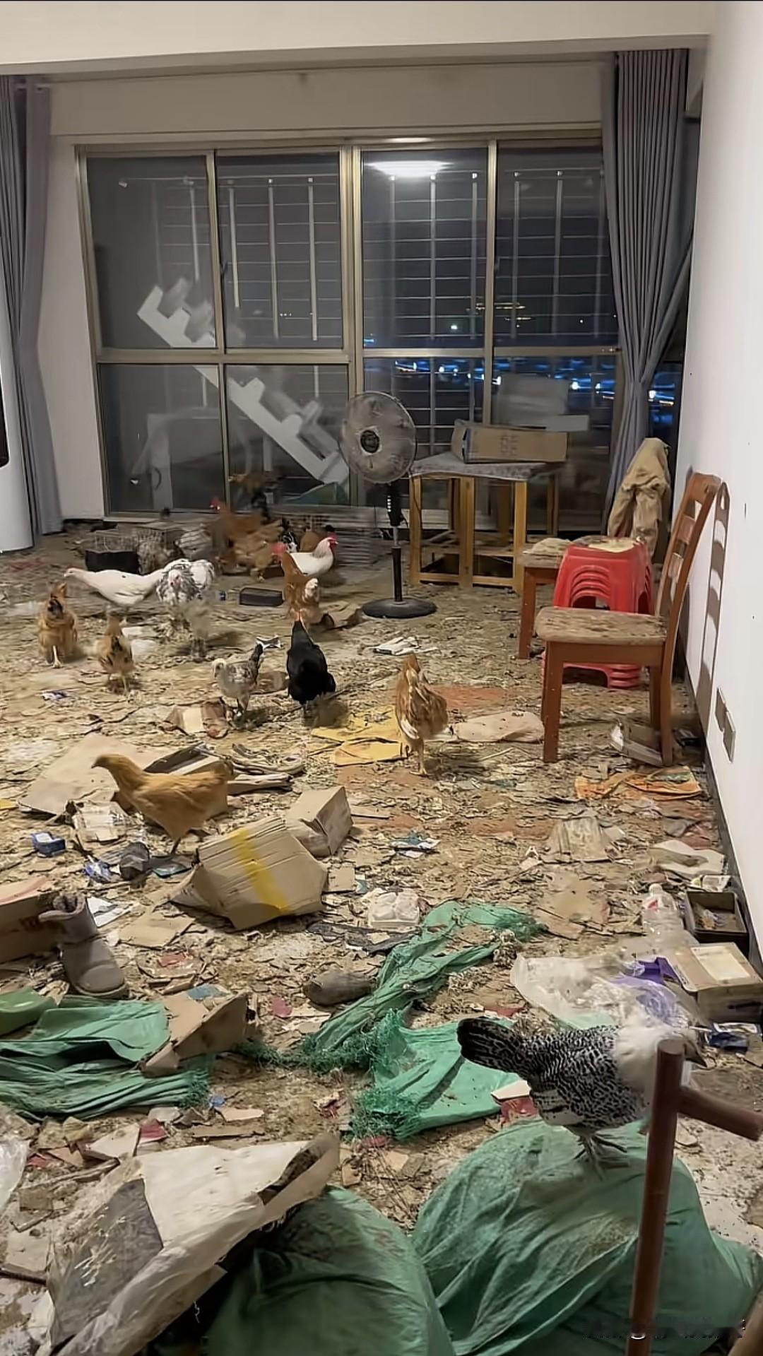 这是房子买多了改造成鸡舍了吗？