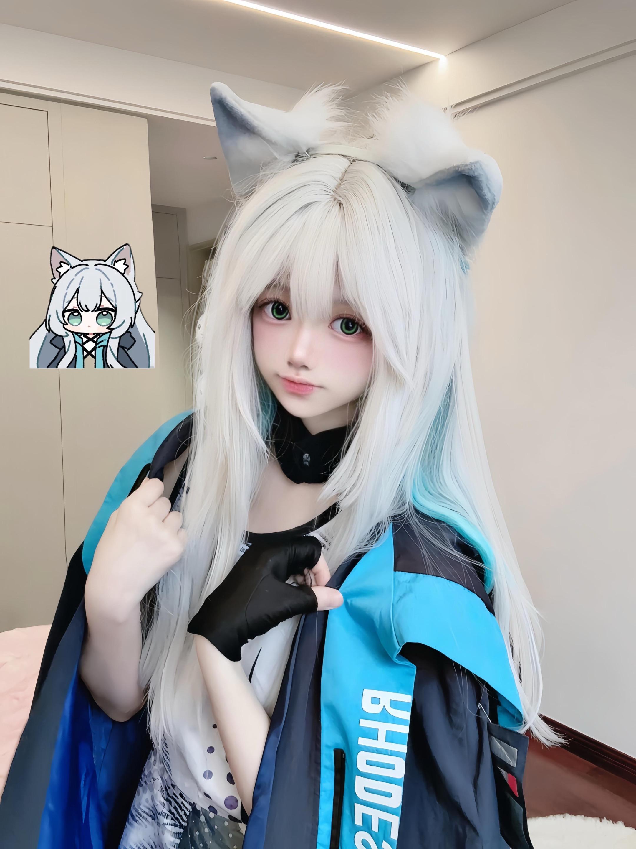 迷迭香小猫呀。