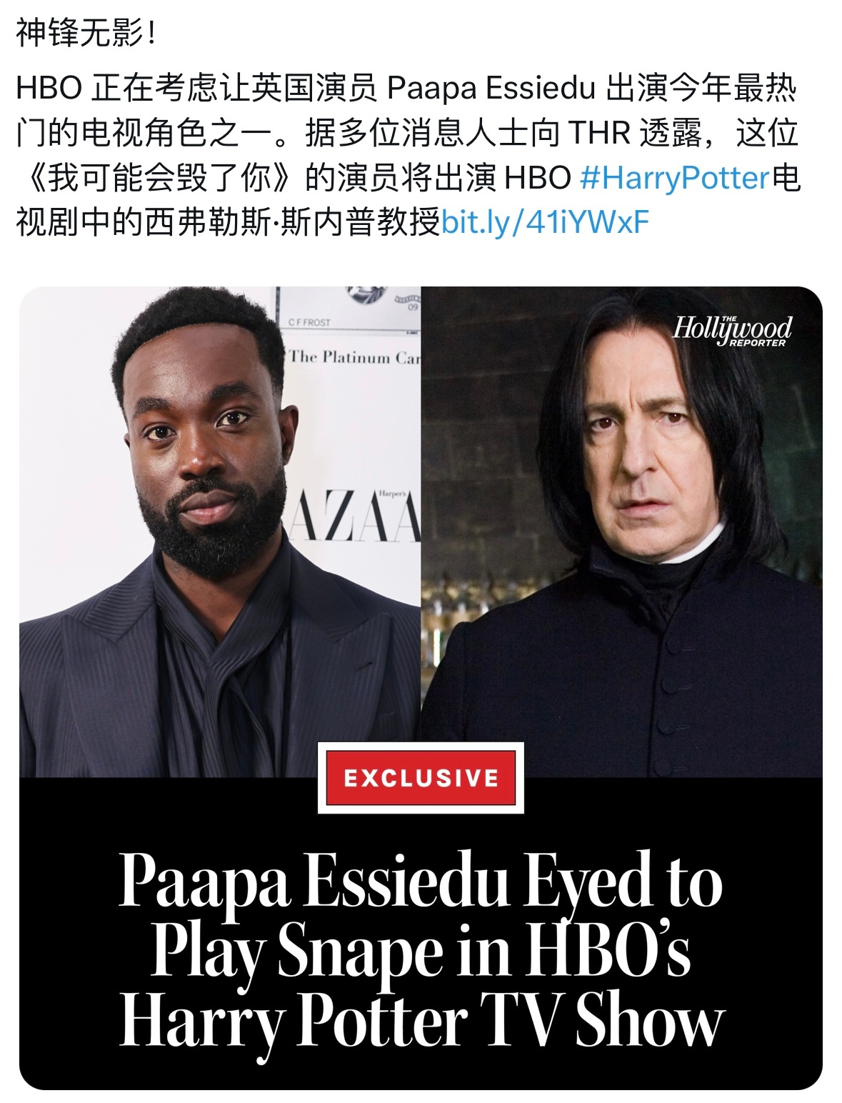 据THR，英国演员帕帕·厄希度有望出演HBO剧版《哈利·波特》斯内普教授 