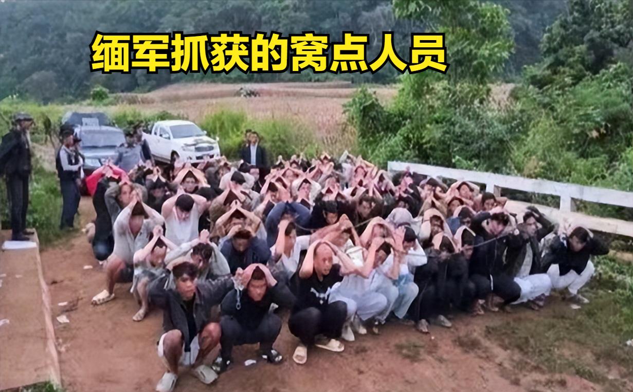 10月7日缅军接获居民举报摸进掸邦深山端掉帐篷窝点  75名邻国涉灰人员当场被捕