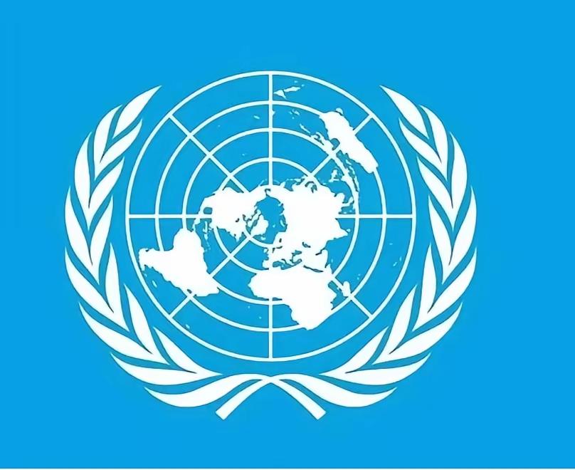 比较一下联合国、国际调解院、和平委员会的徽标
徽标能够展示出一个组织一份机构的特