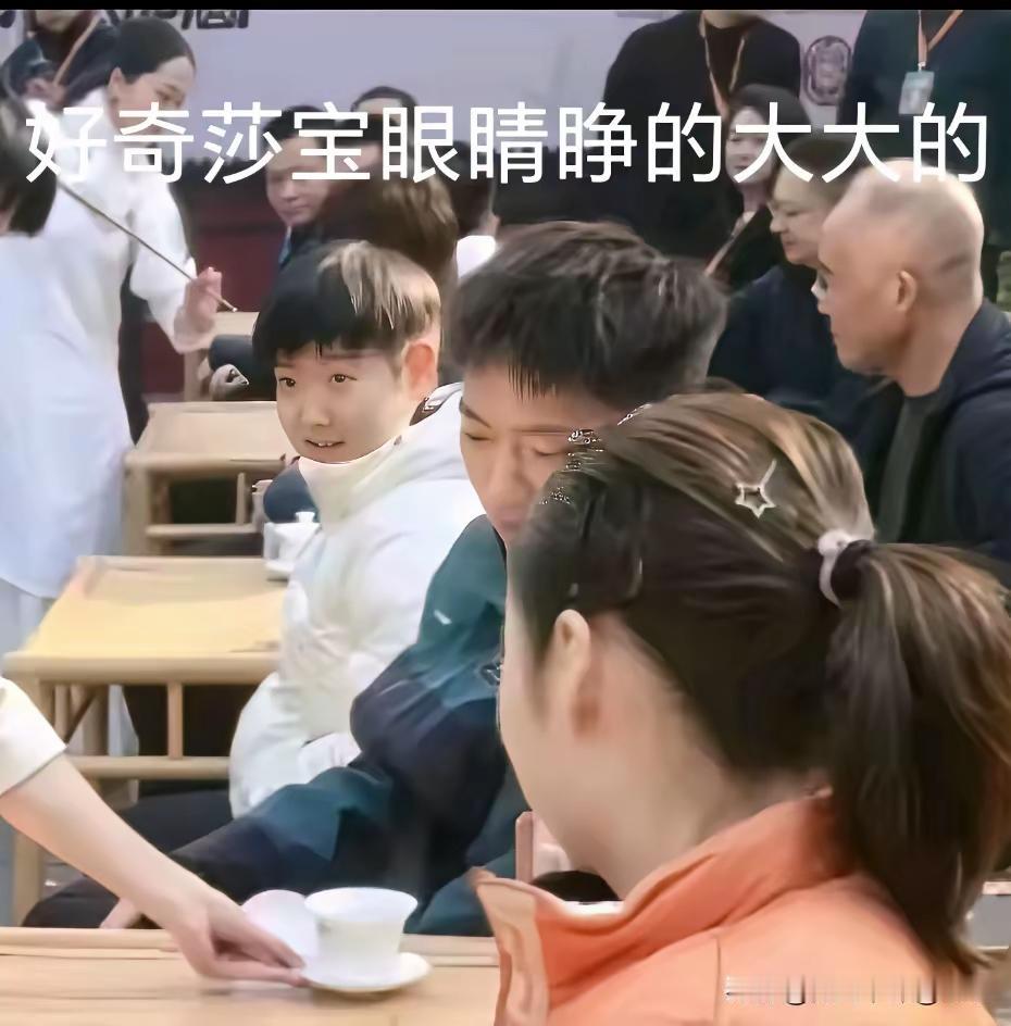 令莎宝好奇地睁大眼睛
看来此事非同小可！
查一下
什么来路
何方神圣
莎宝都出神