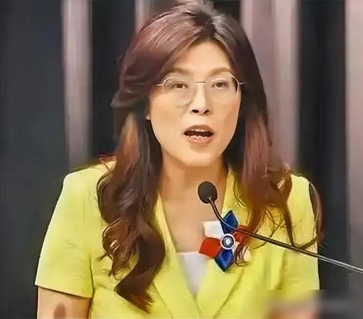 古有郑成功振臂，今有郑丽文擎旗！
          
        不到24