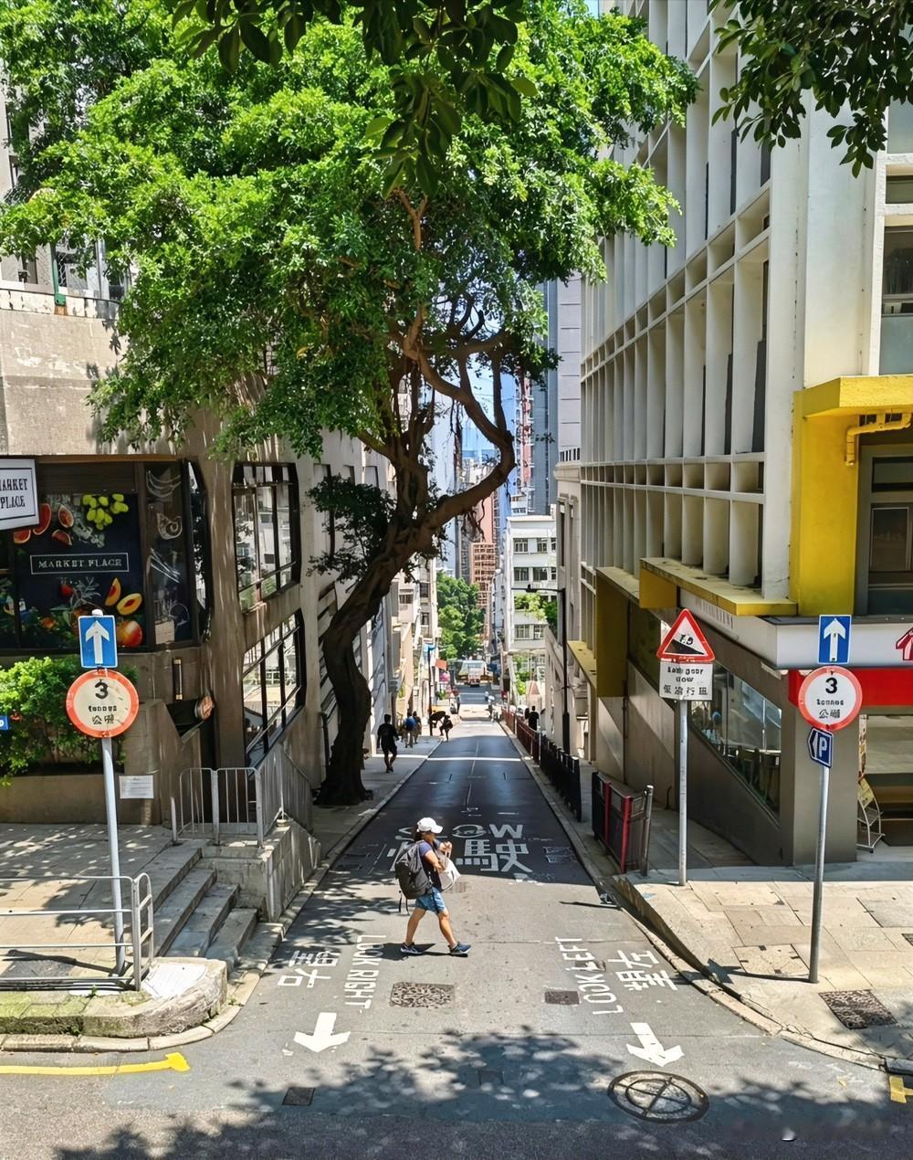 人生最大的分水岭原来是母亲的羊水，

下辈子还来人间吗？

不少人说砸光积蓄，只