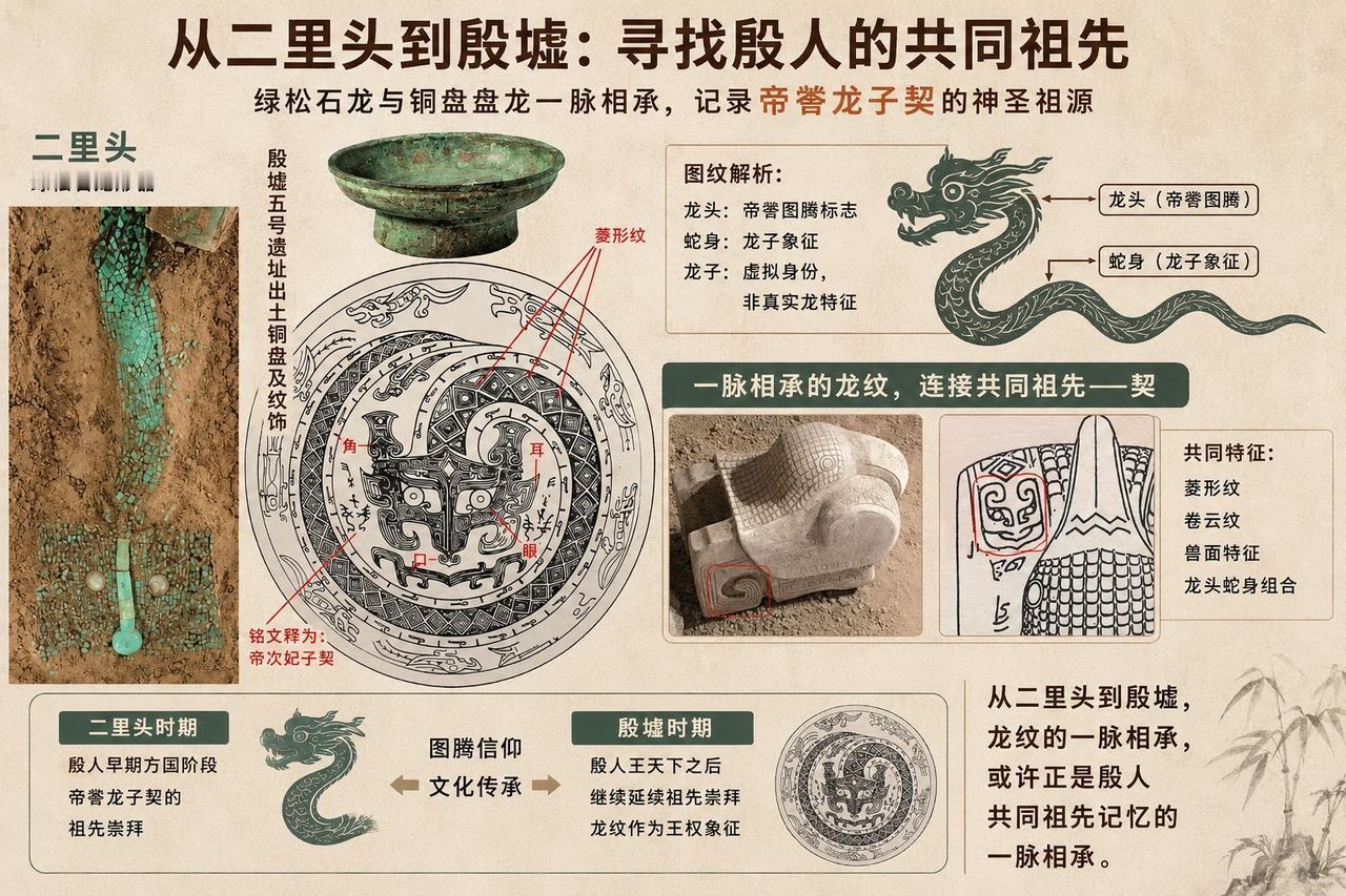 二里头与殷墟相隔数百年，但两地遗存中的“龙”形象，却呈现出值得关注的文化连续性。