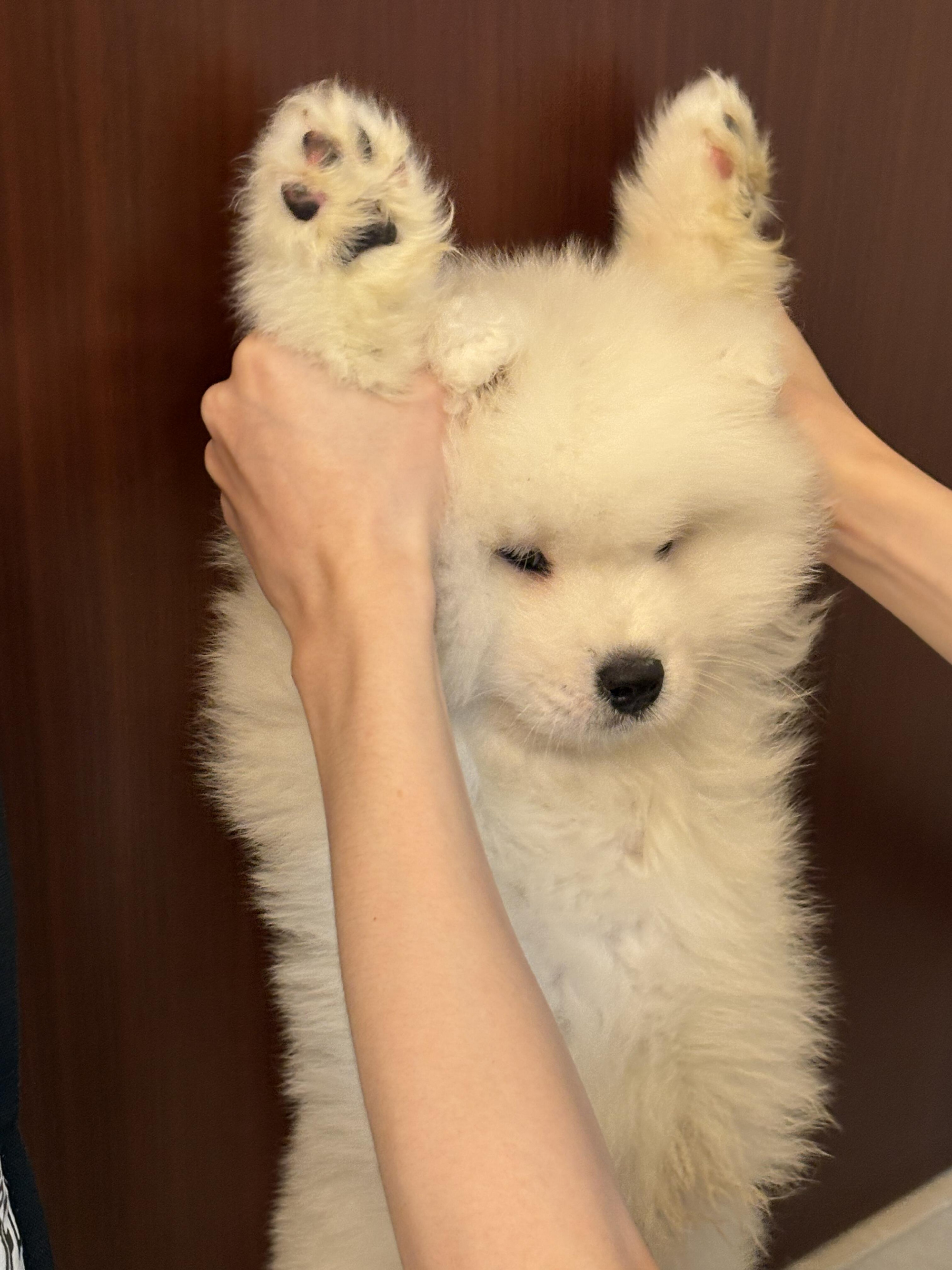 上学又又又又迟到被老师罚站的耶耶 