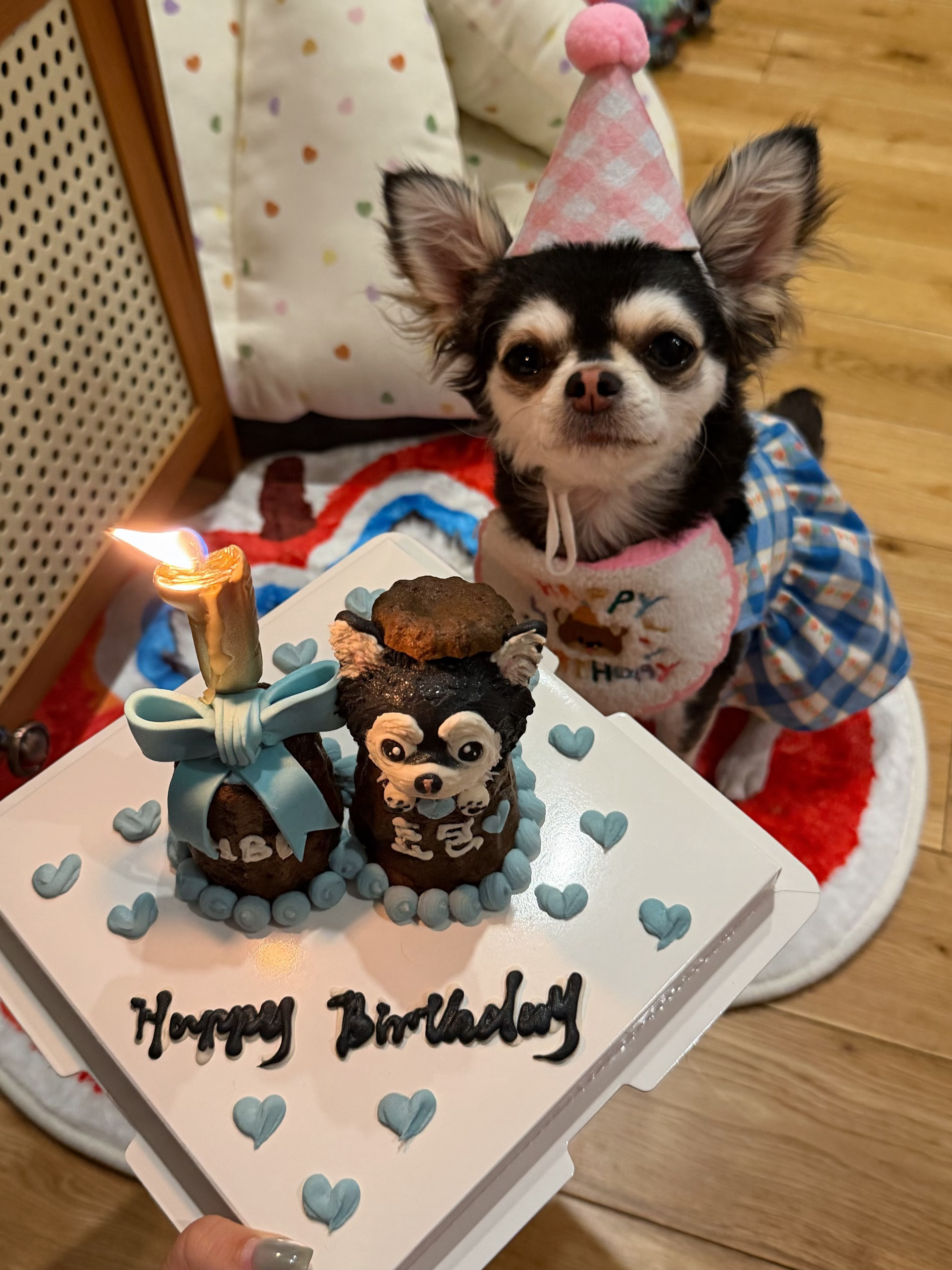 让我们祝这位建党节出生的小女孩生日快乐！🎂 