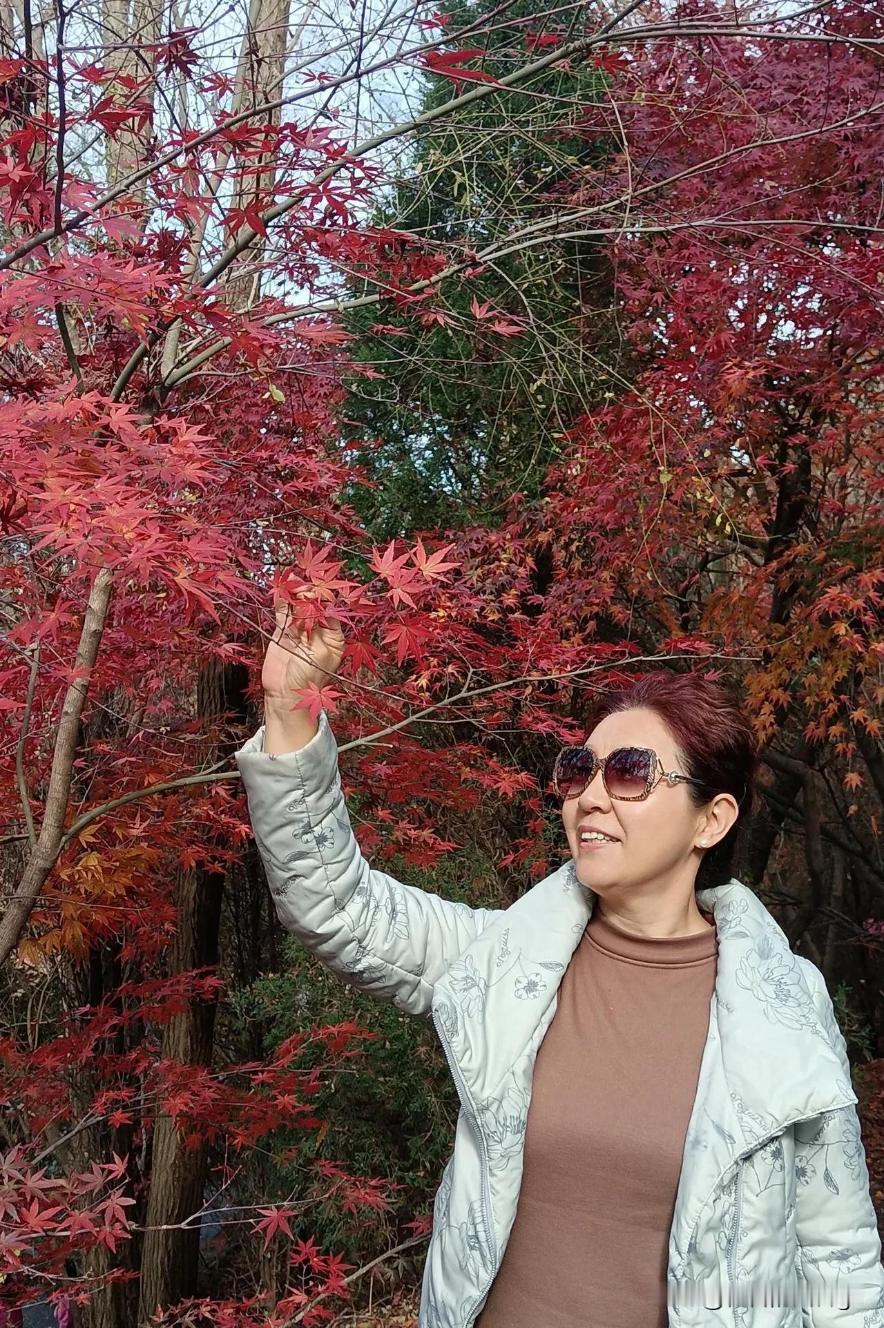 秋叶春风，夏雨，冬雪，那秋是什么不同季节之美 秋天真美艳
