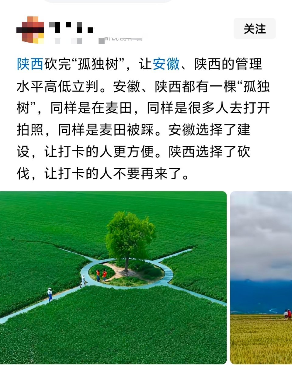 陕西不愿意为流量拖着，砍了也就砍了网红打卡也就几个月的热度，热度一散，吃亏的还是