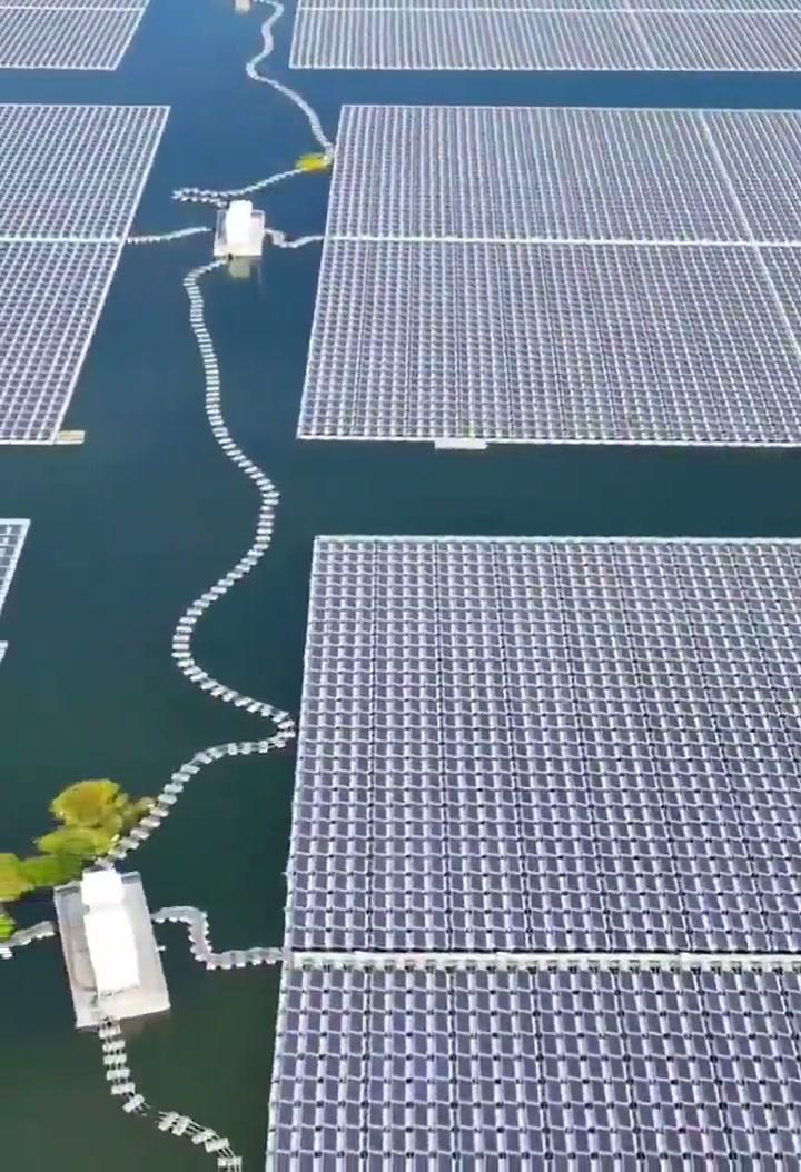 太阳能板直接铺在水库上？这主意绝了。既发电，又减少蒸发，一举两得。比当年那个让汽