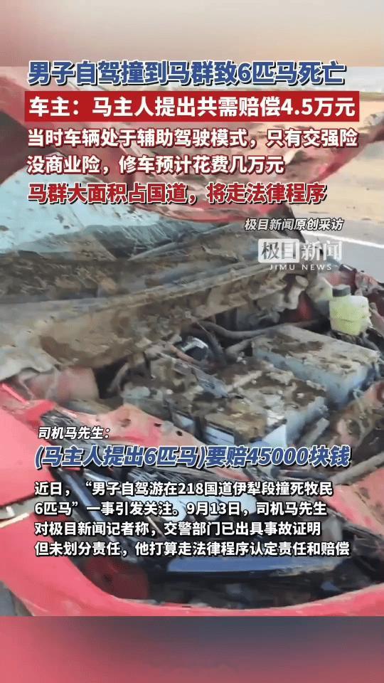 马先生撞死了6匹马

马主人提出大马每匹1.2万，小马少算点，共4.5万

事发
