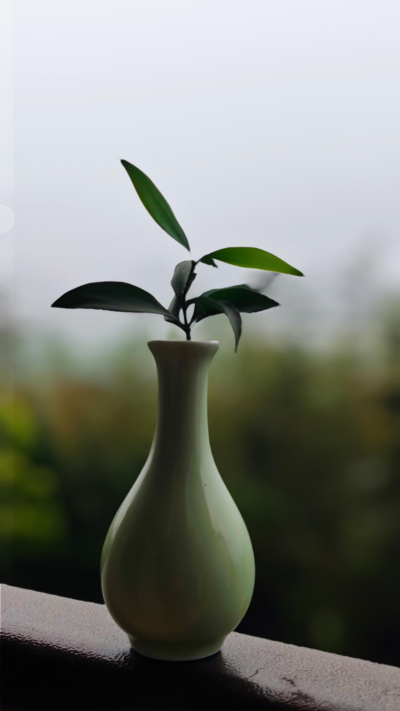 有了觉知，
有了智慧，
就不要再死磕有字之书了，
万语千言皆是字相，
实相无相离