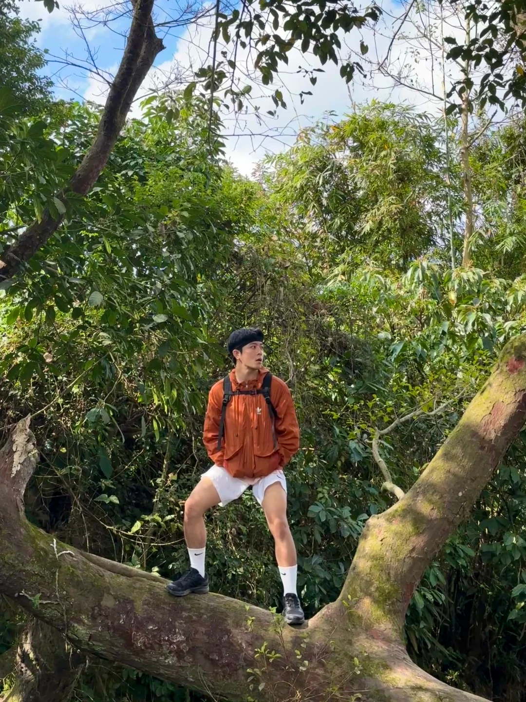 上树被说像🐒