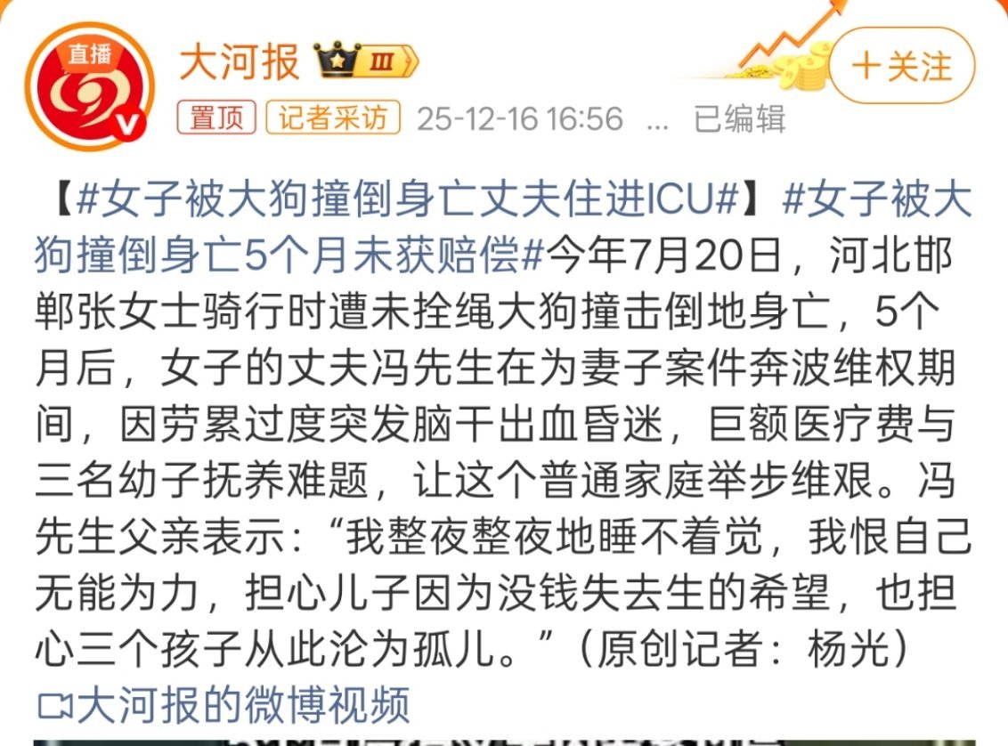 女子被大狗撞倒身亡丈夫住进ICU其实这位女士开得已经很慢了，但这种真的谁都反应不