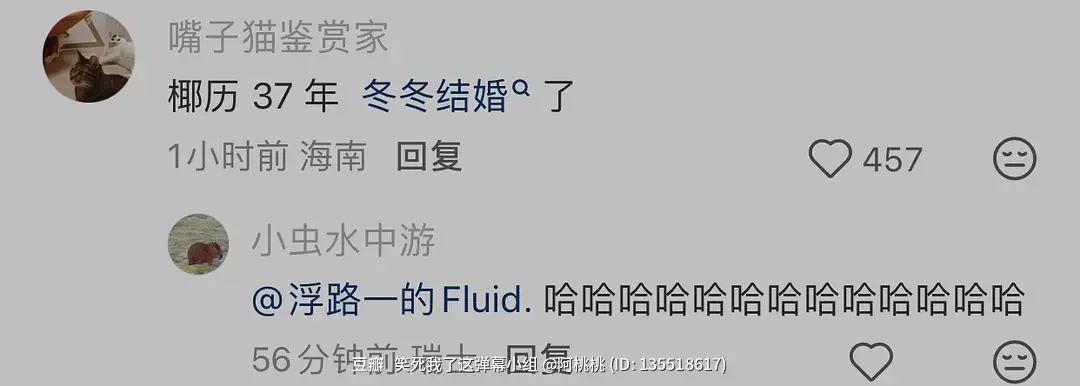 徐冬冬结婚，评论： 