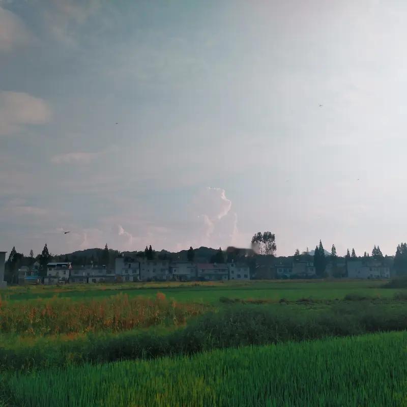 回不去的叫家乡 记忆里的家乡，是青石板老街，是屋檐下的红灯笼，是豆浆的豆香和糖画