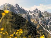 读懂性命命运运气本质，人生最终靠“信”字站稳脚跟
 
最近一套串联性命、命运、运