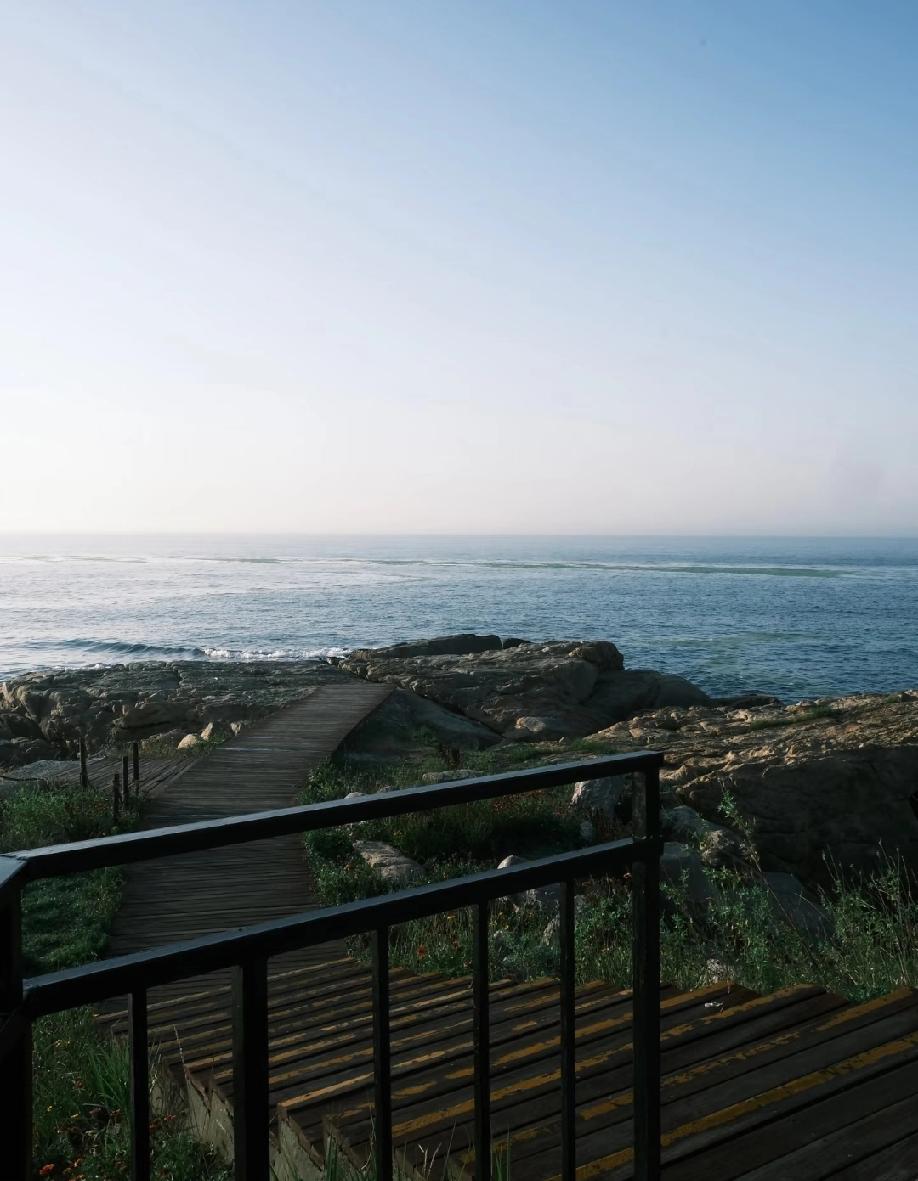 性学专家李银河说：“如果你很想结婚，那就不一定非要等到爱情，肉体和精神上的朋友都