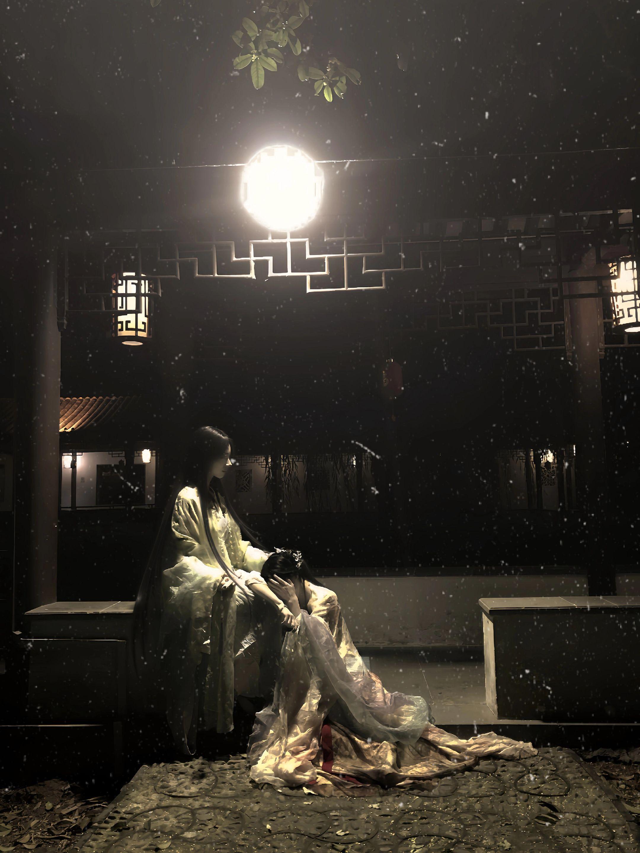 “莲落雪 情难绝 相逢却似镜中月”