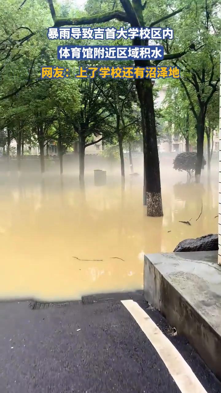 暴雨导致吉首大学校区内体育馆附近区域积水。
网友：上了学校还有沼泽地。