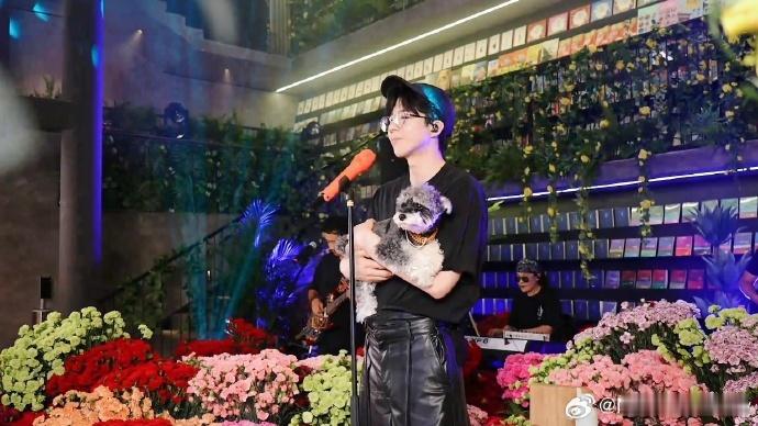 摩登兄弟刘宇宁直播    相约刘宇宁共赴817 刘宇宁 超级康乃馨，说起来轻松背
