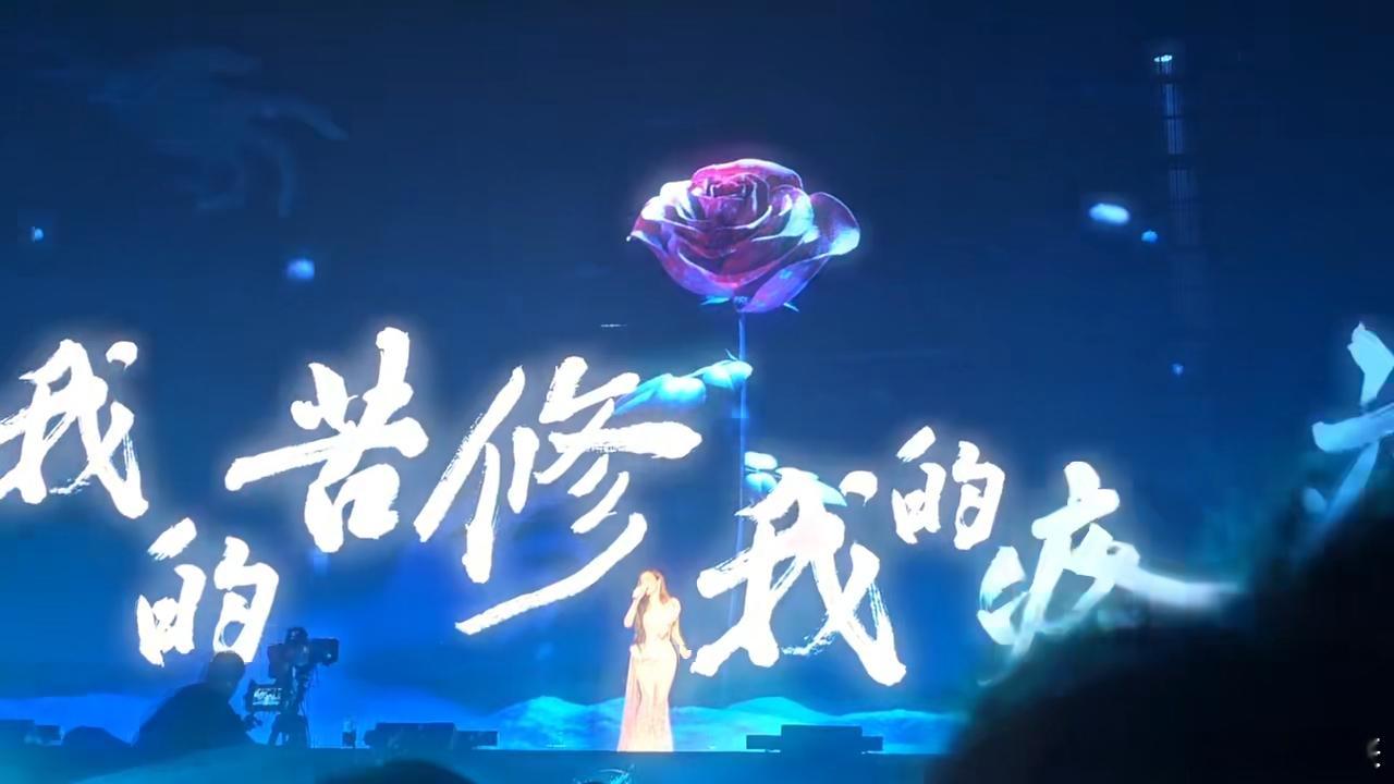 张靓颖演唱会首唱野心家  张靓颖宁波演唱会上，歌迷们合唱《野心家》的声音太震撼了