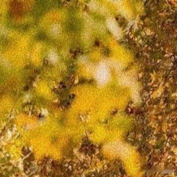 关于“界限感”见过太多人，因为太熟而失了分寸，最后连朋友都做不成。成年人的顶级修