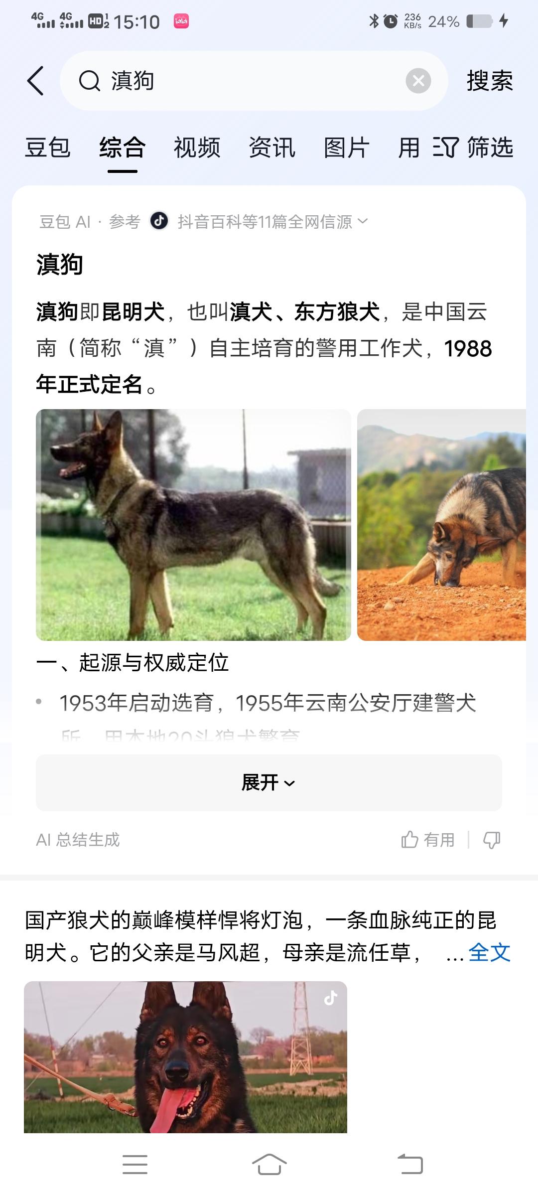 为什么滇狗又叫昆明犬，下司犬叫黔狼。下司犬可是世界三大名犬哦@豆包 
下司犬训练