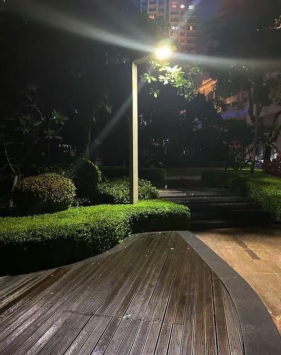 淡淡的 就会顺顺的日常