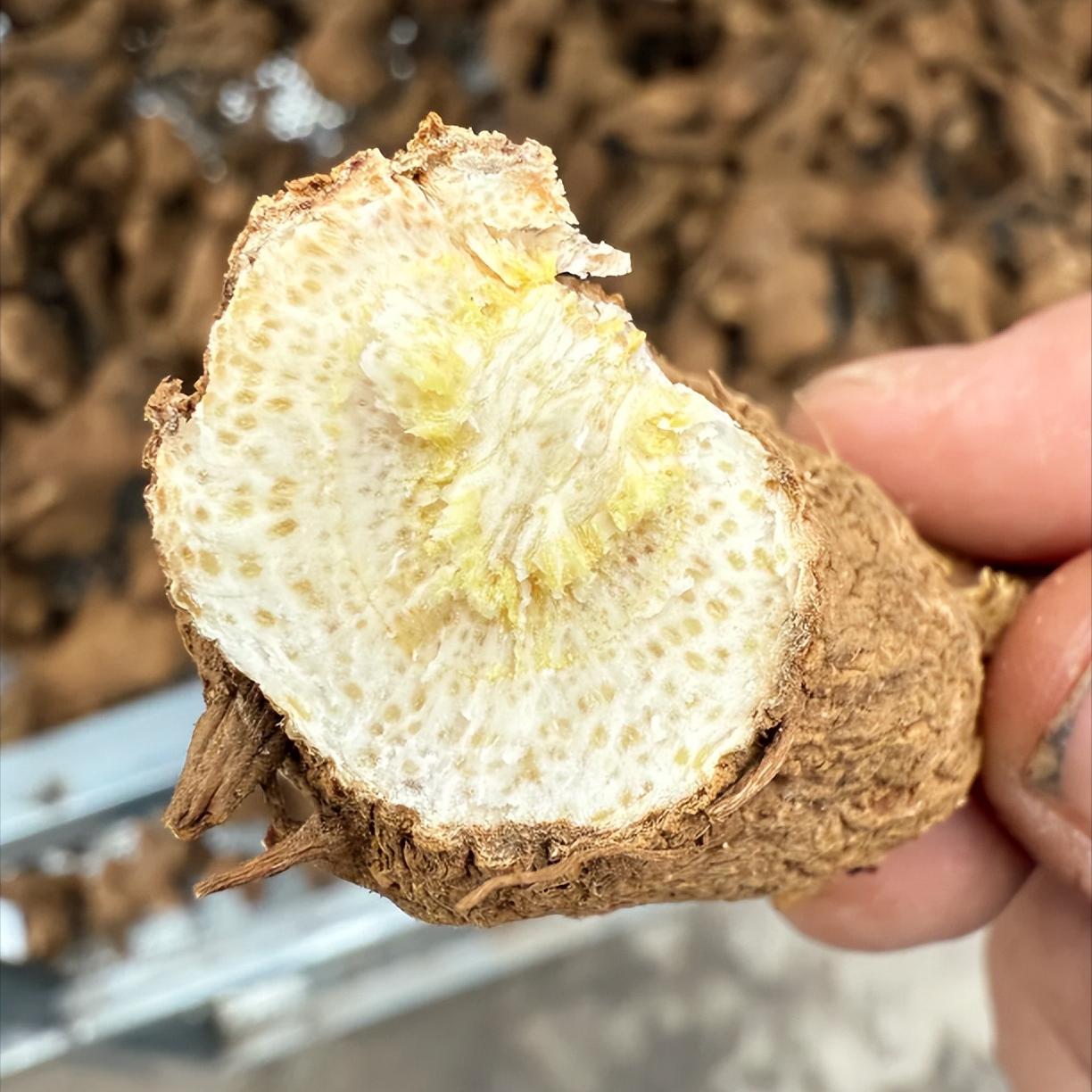 早泄只知固精降敏？我再说一次：90% 的人越治越糟，根源在这！


门诊上碰到太