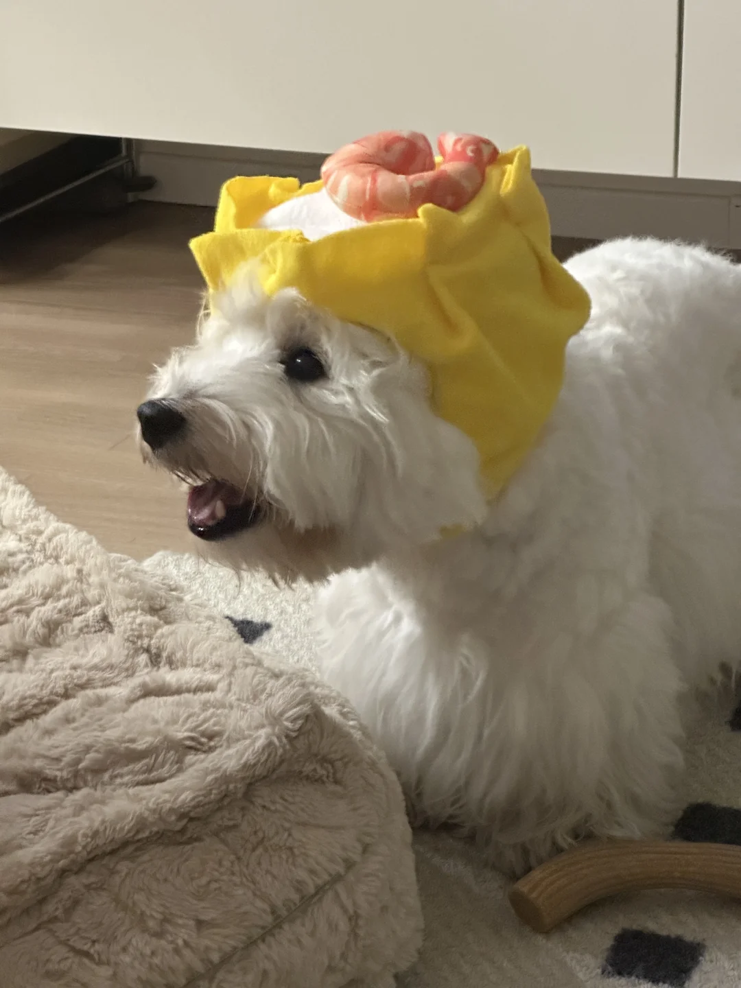 肥美的虾仁烧卖