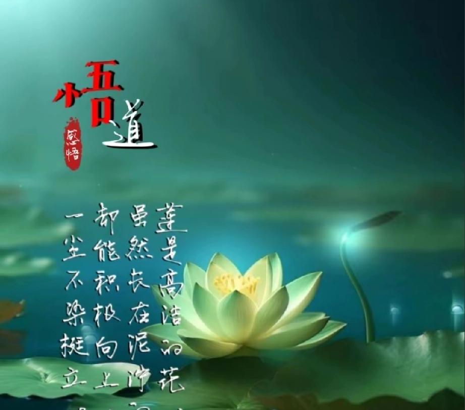 善良需带锋芒，付出应有底线
 
“别再给别人撑伞，把自己淋成落汤鸡”，这句直白的