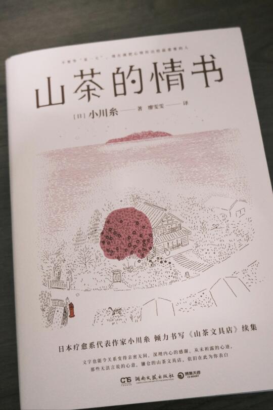 山茶的情书｜文字能缝补遗憾，书信很浪漫