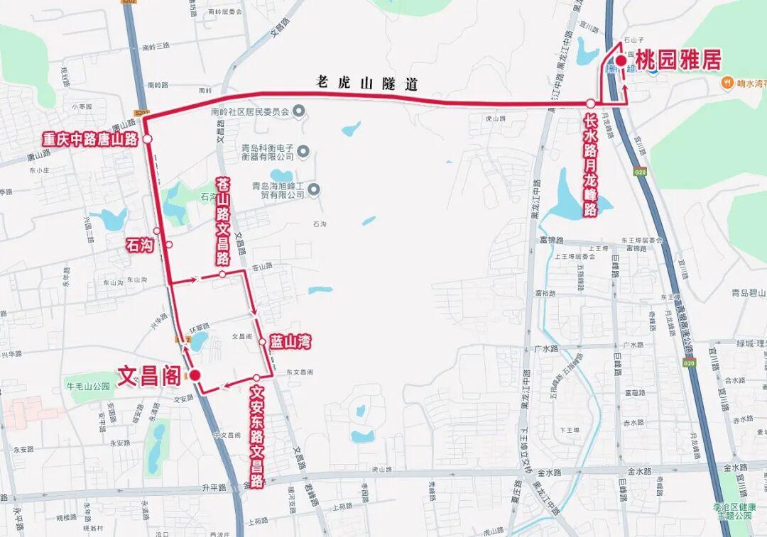 自桃园雅居站始发，沿宜川路、无名路、长水路、老虎山隧道、长水路、重庆中路、苍山路