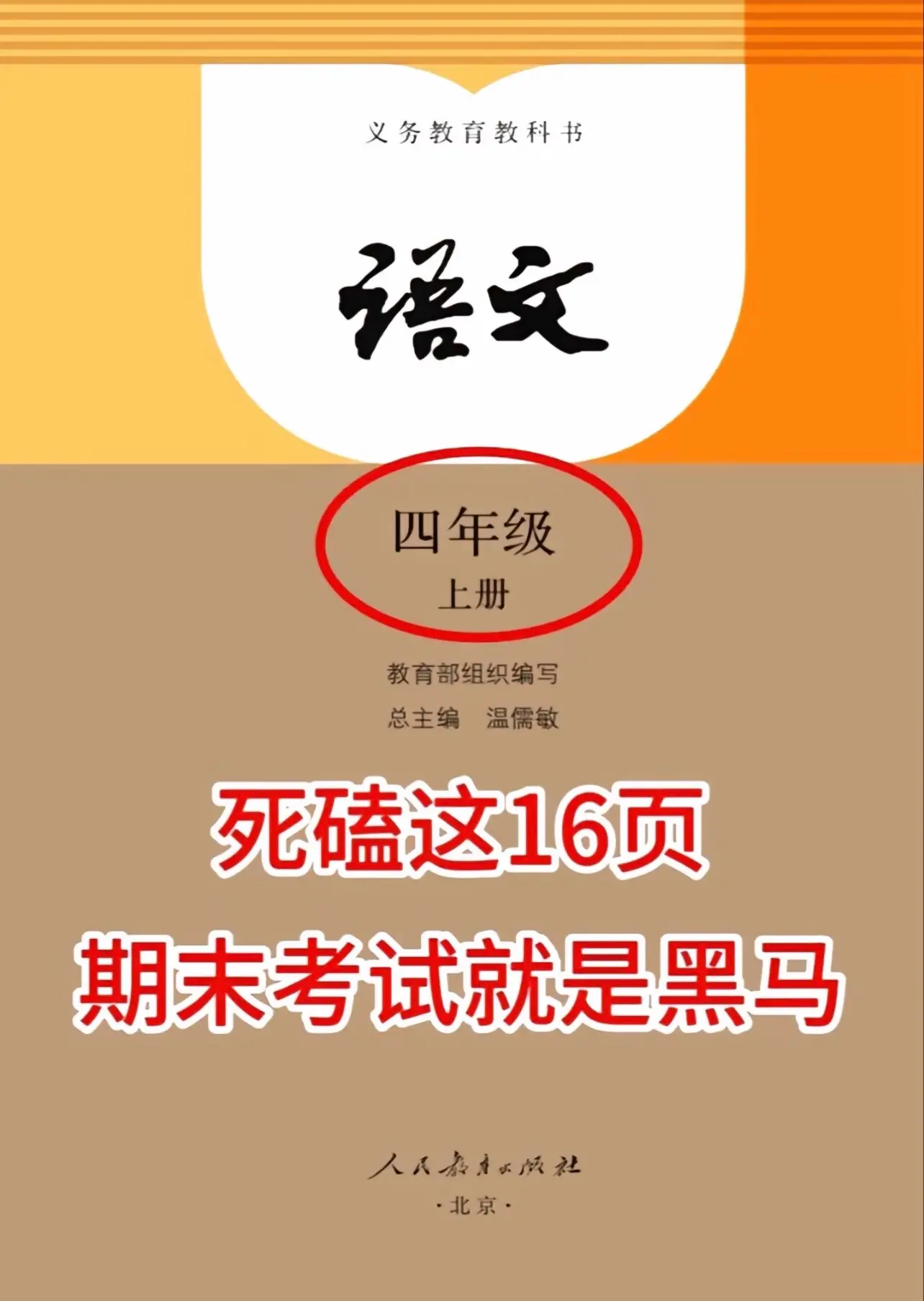 四年级上册语文全册重要知识点汇总‼️。
