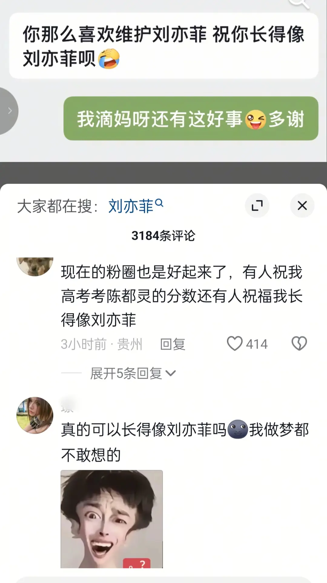 我滴妈，快来也祝福我长得像刘亦菲，私信也。可以
