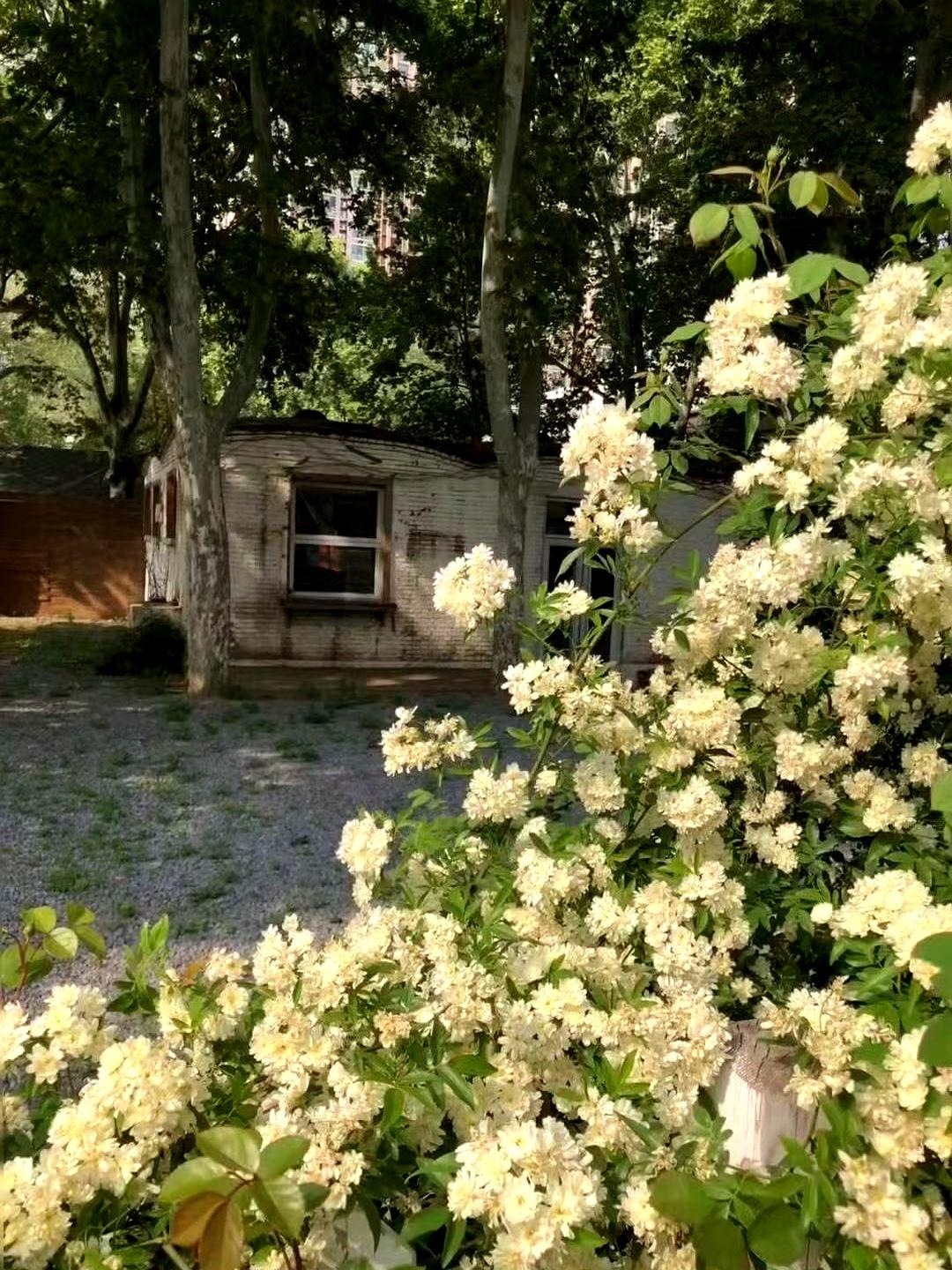 我74年生，退休都两年了，日子一换，整个人都轻松了。说白了，舒服比啥都重要。
以