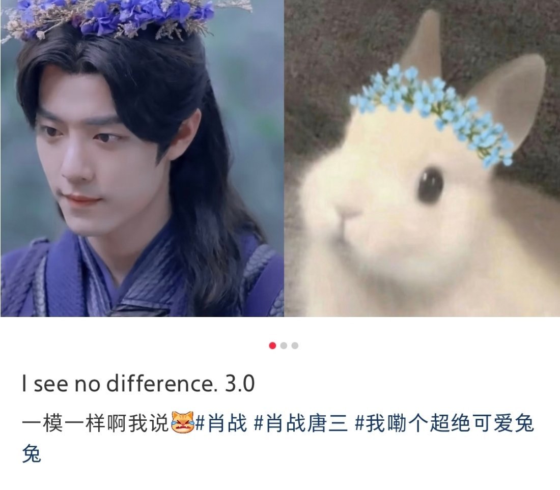 一模一样[哇] ​​​