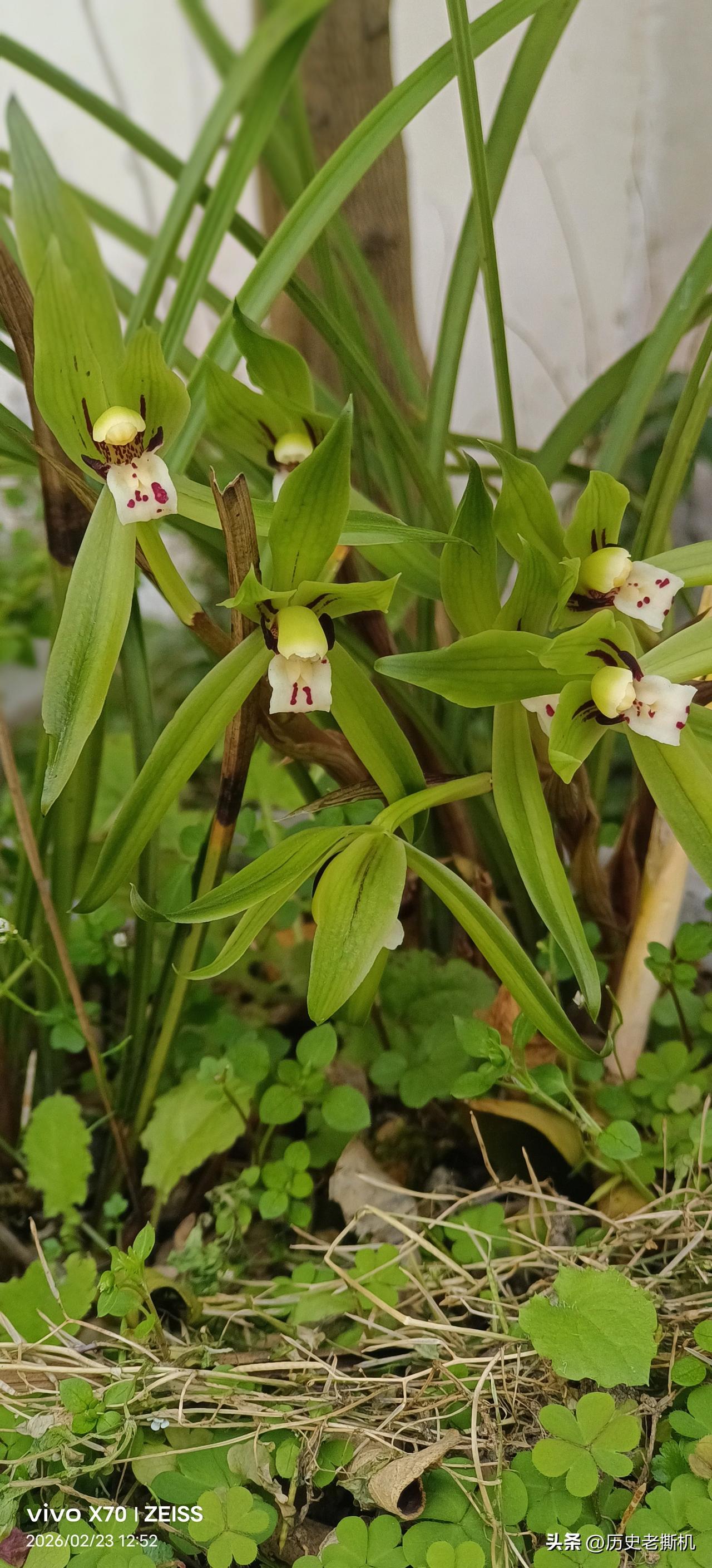 一句话记录春日心情 春日序曲，正式奏响。