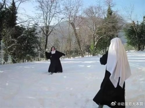 莫名其妙被推了一些很萌的东西 