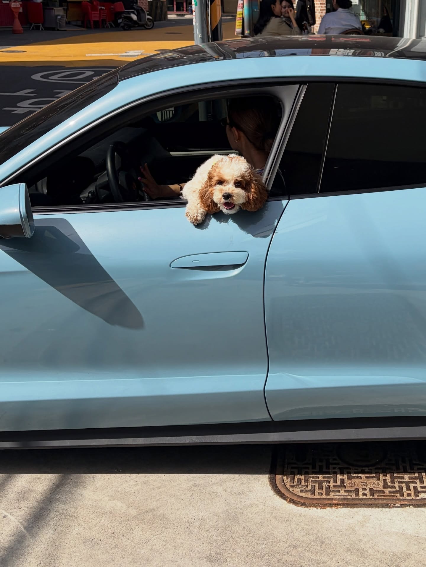 熙珠近期记录zip 