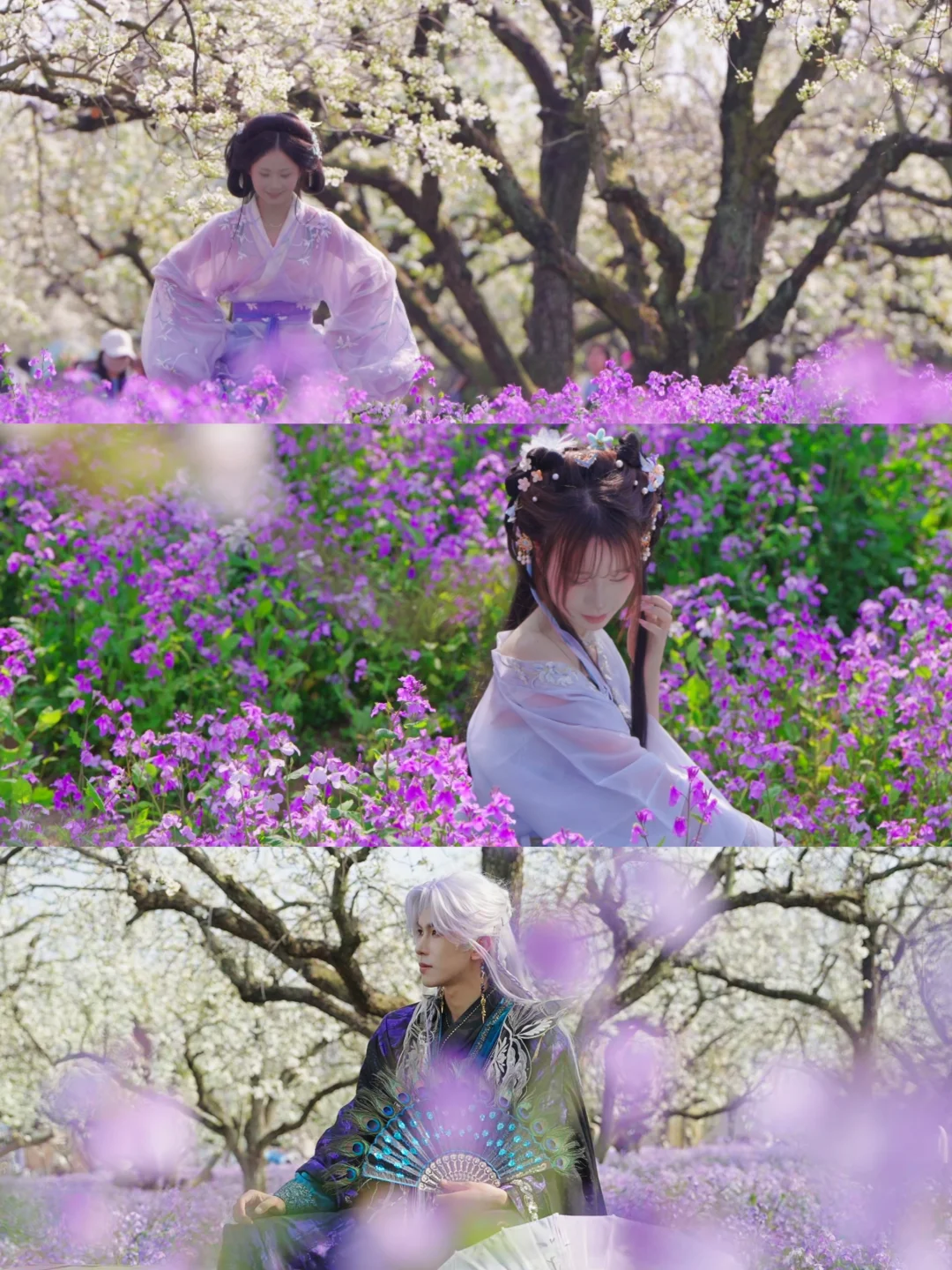 春日赏花｜🌸宿迁梨花与二月兰花海封神了