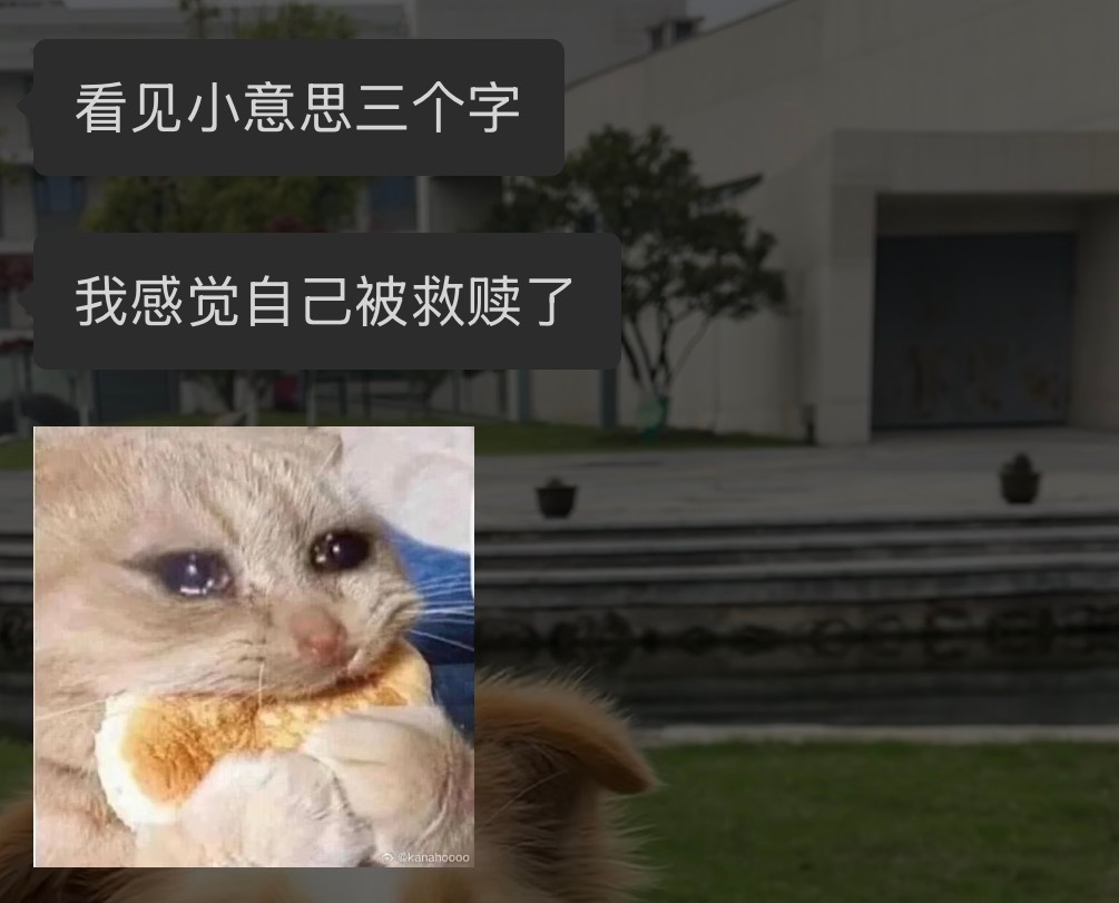 看你们幸福我都落泪