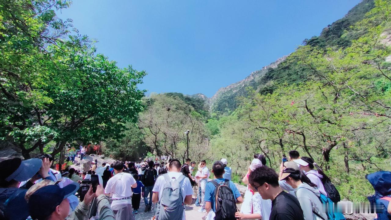 人在低谷安慰自己的一句话是什么呢山峰之所以成为山峰，是因为它从山谷中经过，没有山